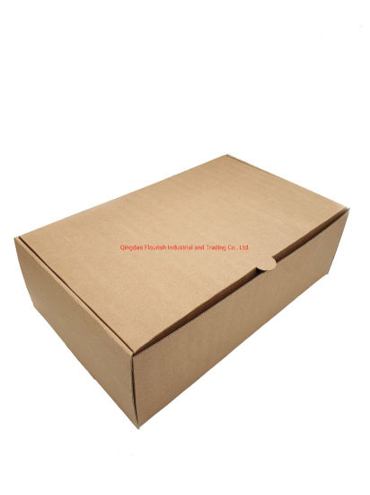 Einzelhandelspreis Benutzerdefiniertes Logo Gedruckte faltbare weiße und braune Kraftpapier-Paketbox